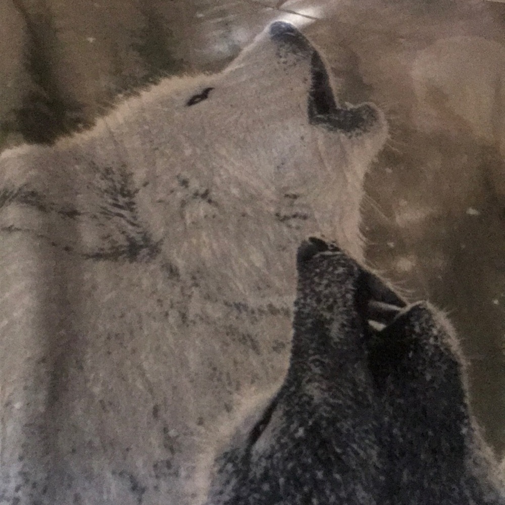 Meet your Posher, Steph